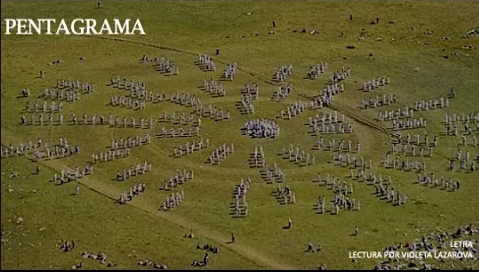 Lee VIOLETA LAZAROVA