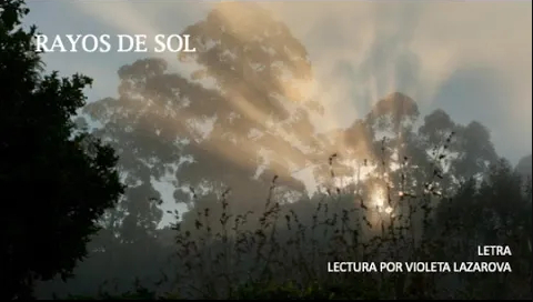 Lee VIOLETA LAZAROVA